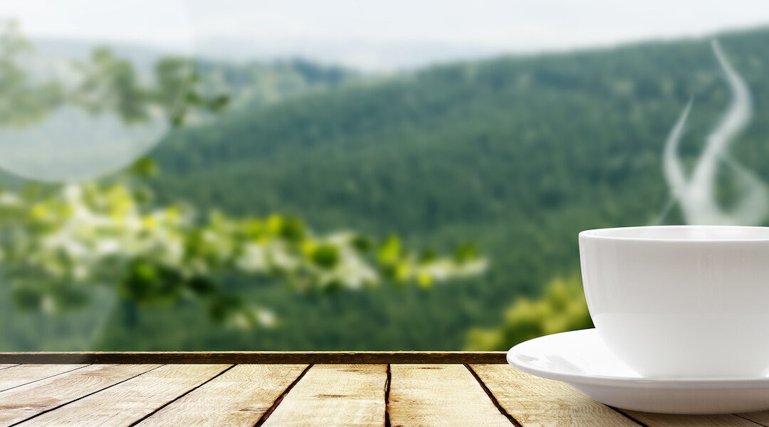Cup