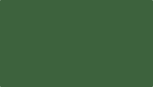 ColorBlockRhetoric