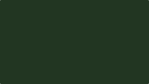 ColorBlockWriting