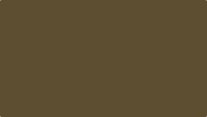 ColorBlockOther