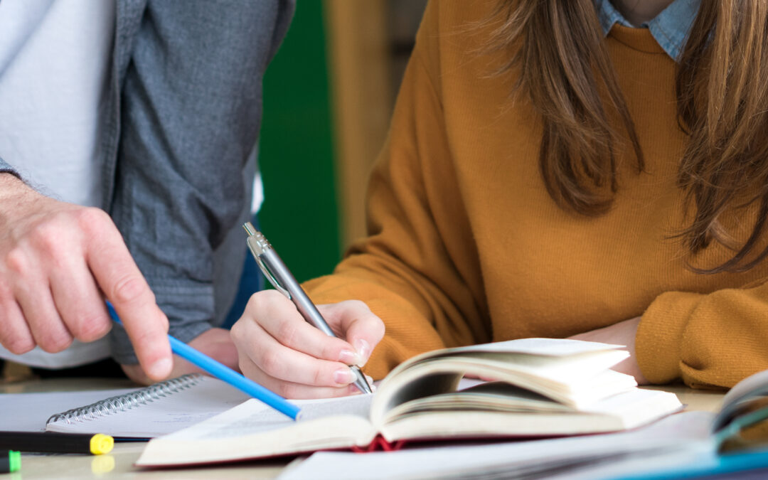 Young teacher helping his student in chemistry class. Education, Tutoring and Encouragement concept. Web banner.