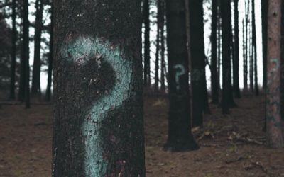 Looking Along Learning: Discovering the Joy of Language